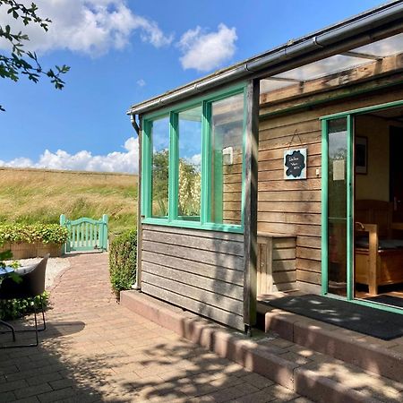 4 Pers Holiday Home Hilla With Winter Garden In Front Of The Dike Directly On The Lauwersmeer Anjum Zewnętrze zdjęcie